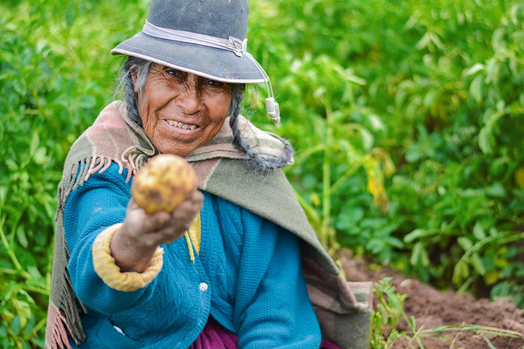 Aymara-Food-Vieille-Dame-Aymara